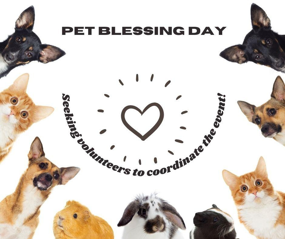 PET BLESSING